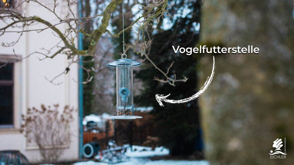 an einem Baum hängende Vogelfutterstelle