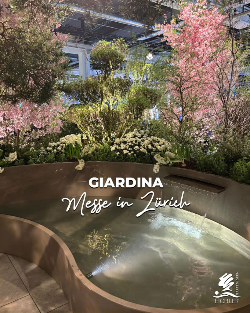 Geschwungene, moderne Gartenbadewanne in einem Garten mit rosa blühenden Kirschbäumen und weißem Flieder. Schriftzug: „GIARDINA Messe in Zürich“.