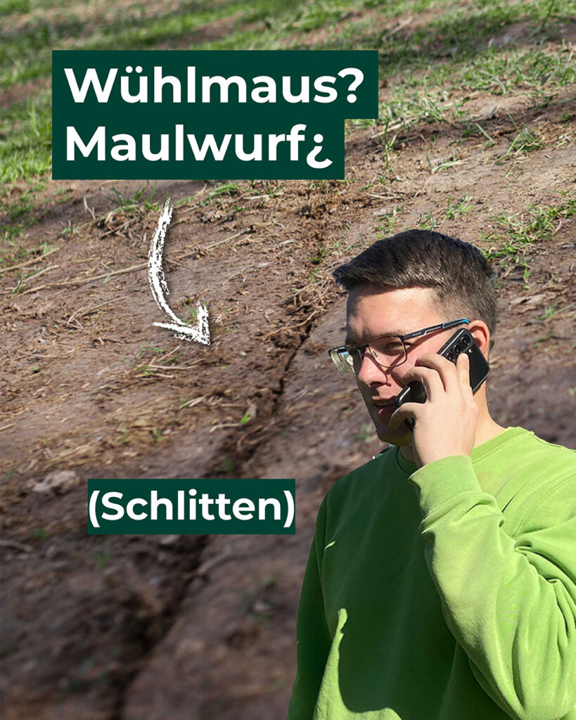 Nahaufnahme von zerstörtem Rasen, Mitarbeiter am Telefon. Text: Wühlmaus? Maulwurf? Schlitten!