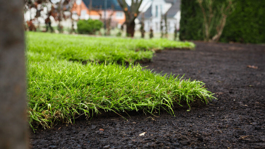 ausgelegter grüner Rollrasen