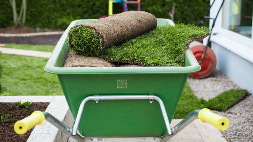 Rollrasen-Rollen in grüner Schubkarre