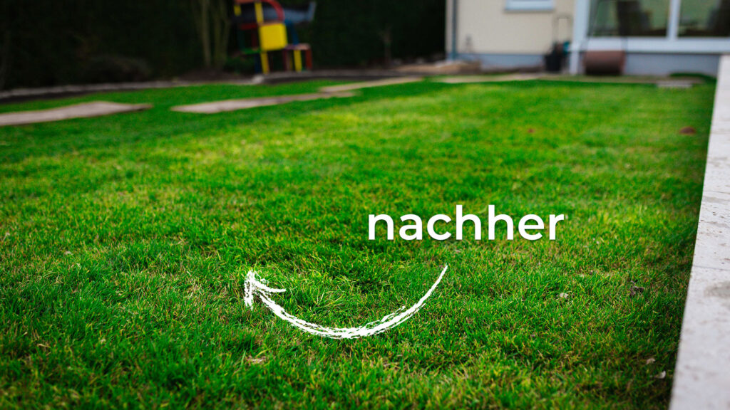 Nachger-Vergleich: grüner und frischer verlegter Rollrasen