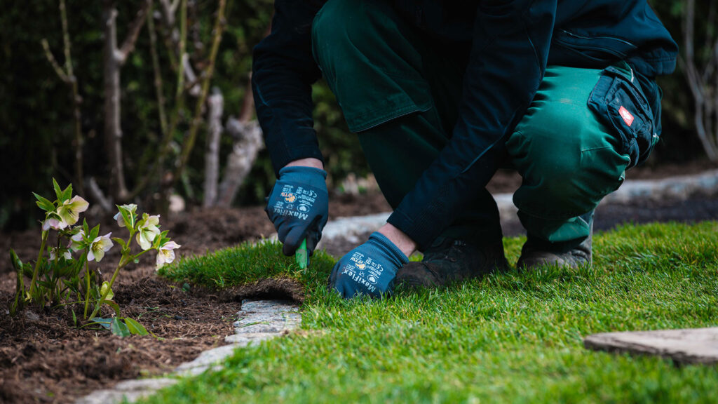 Rollrasen wird mit dem Cuttermesser zugeschnitten