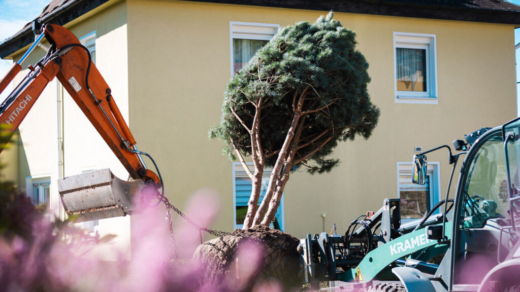 Ein erfahrener Baggerfahrer mit weißem Hut sitzt konzentriert in der Kabine eines orangefarbenen Hitachi-Minibaggers während der Gartenbauarbeiten.