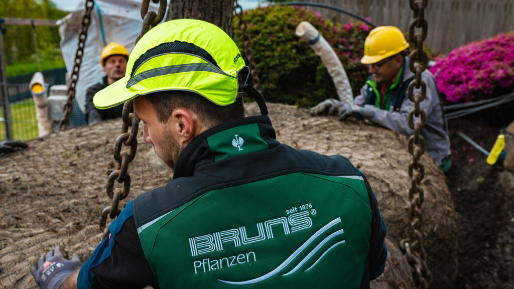 ärtner von hinten in einer grün-schwarzen Arbeitsjacke mit der Aufschrift „BRUNS Pflanzen“ und einer neongelben Kappe greift nach einer schweren Metallkette.