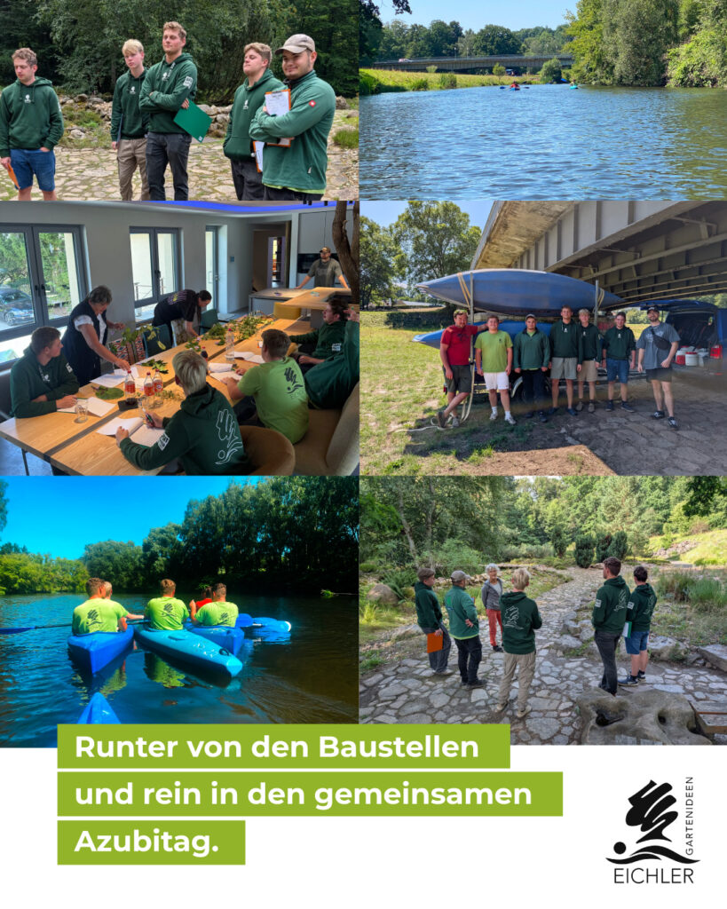 Azubitag bei Eichler Gartenideen, Collagenbilder vom Pfanzenquiz bis zum Kanufahrt