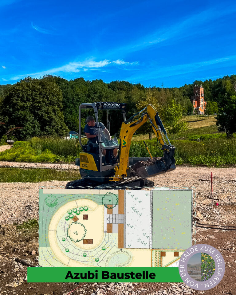 Azubiprojekt von Eichler Gartenideen auf dem Gelände der Landesgartenshow. Der konzeptuelle Plan ist im Vordergrund eingebunden.