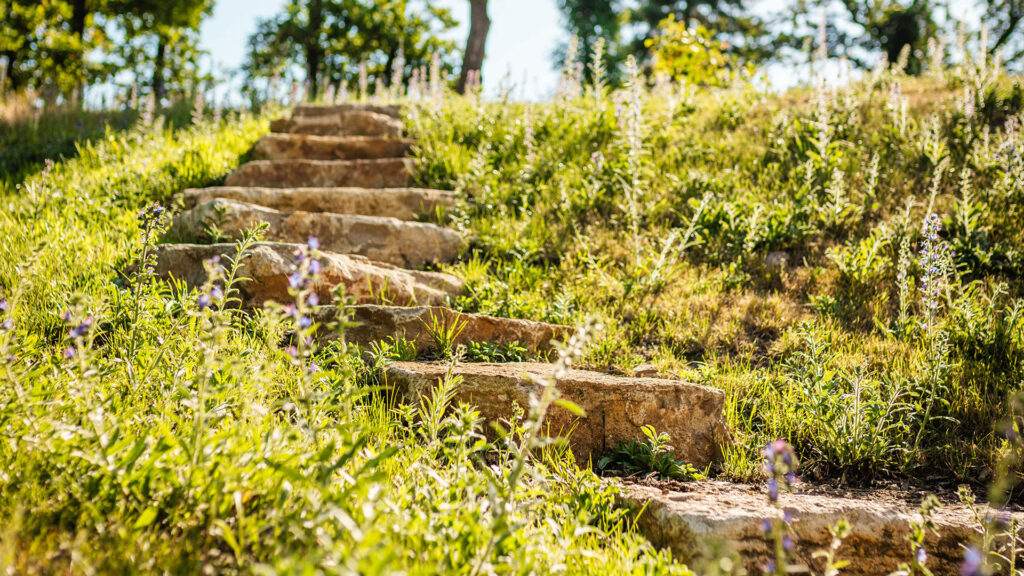 Eine rustikale Steintreppe führt einen grasbewachsenen Hang hinauf, umgeben von Wildblumen und Bäumen, im hellen Sonnenlicht